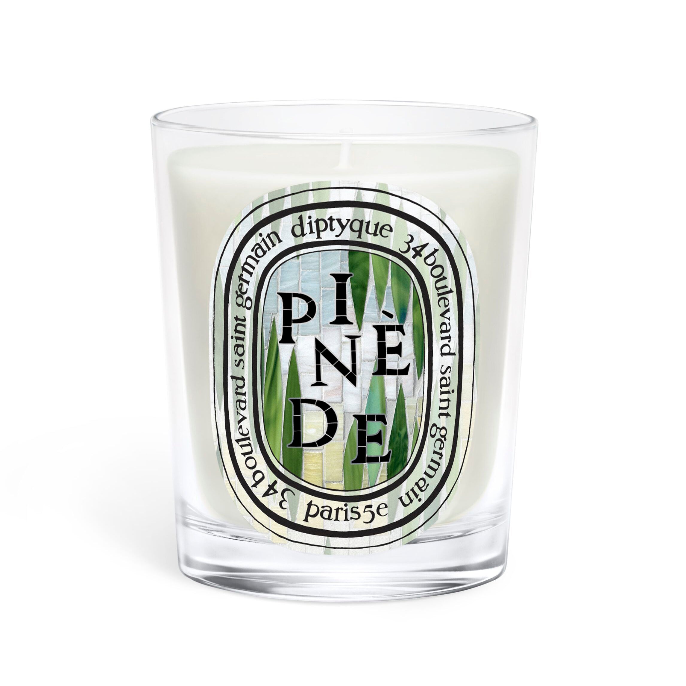 Diptyque Pinede Candle 6.5oz | Pine, Citrus & Woods – ZGO Perfumery
