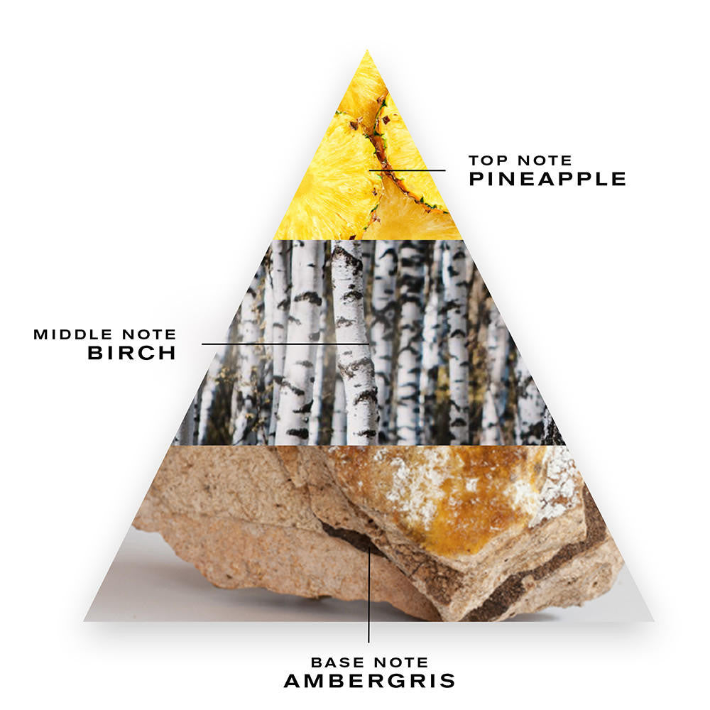 Creed Aventus Eau de Parfum