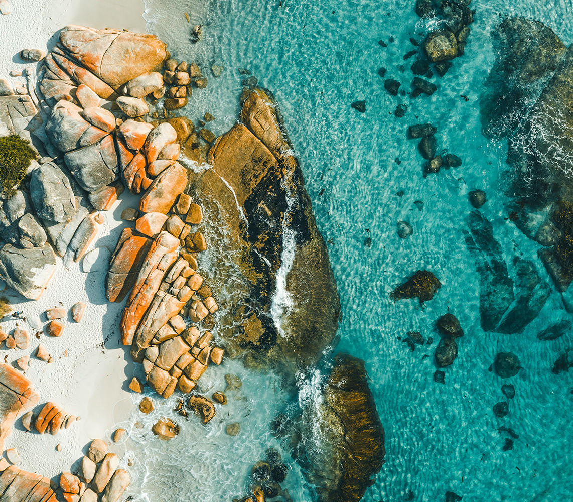 Goldfield & Banks Australia PACIFIC ROCK MOSS Perfume Concentrate