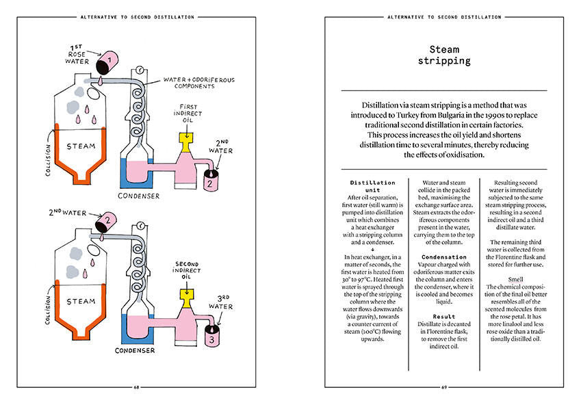 Nez- The Olfactory Magazine NEZ Damask Rose in Perfumery