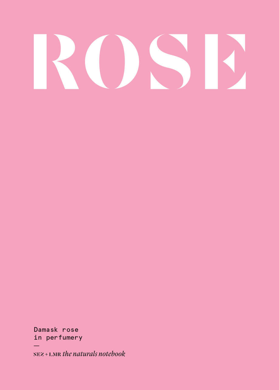 Nez- The Olfactory Magazine NEZ Damask Rose in Perfumery