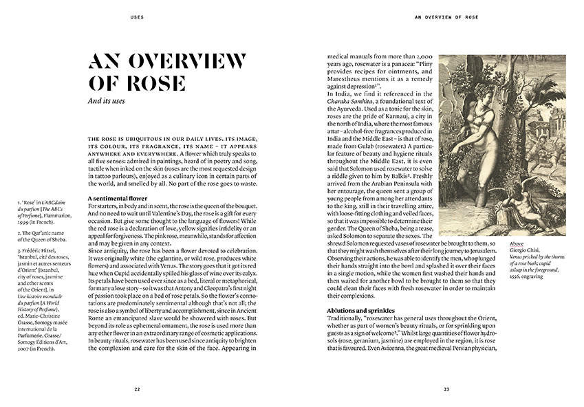 Nez- The Olfactory Magazine NEZ Damask Rose in Perfumery
