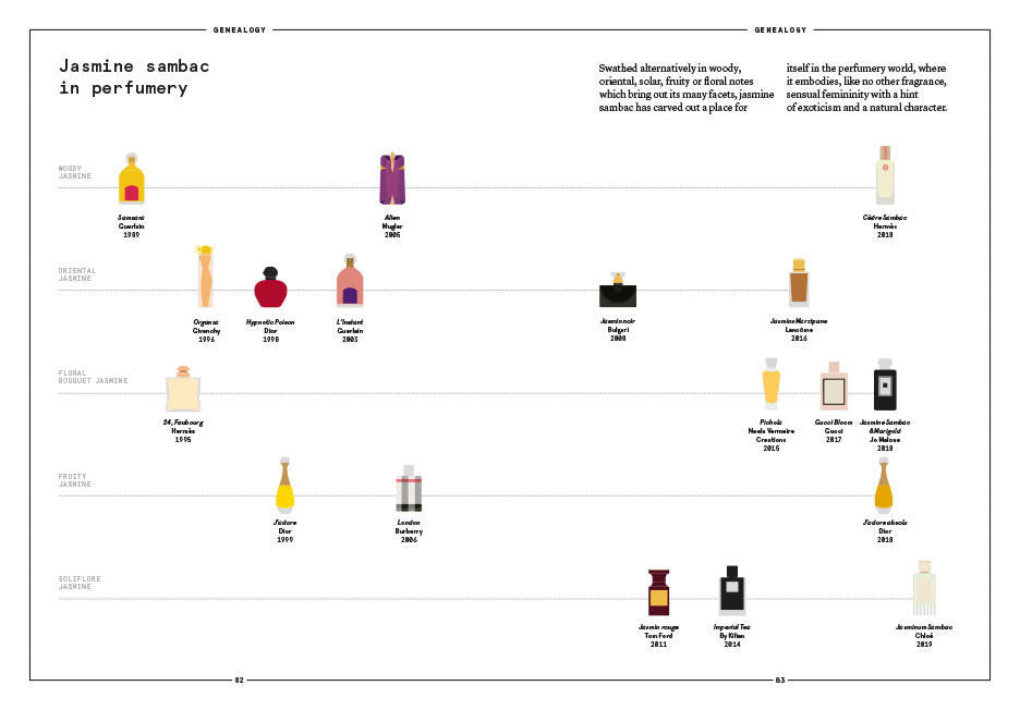 Nez- The Olfactory Magazine NEZ Jasmine Sambac in Perfumery