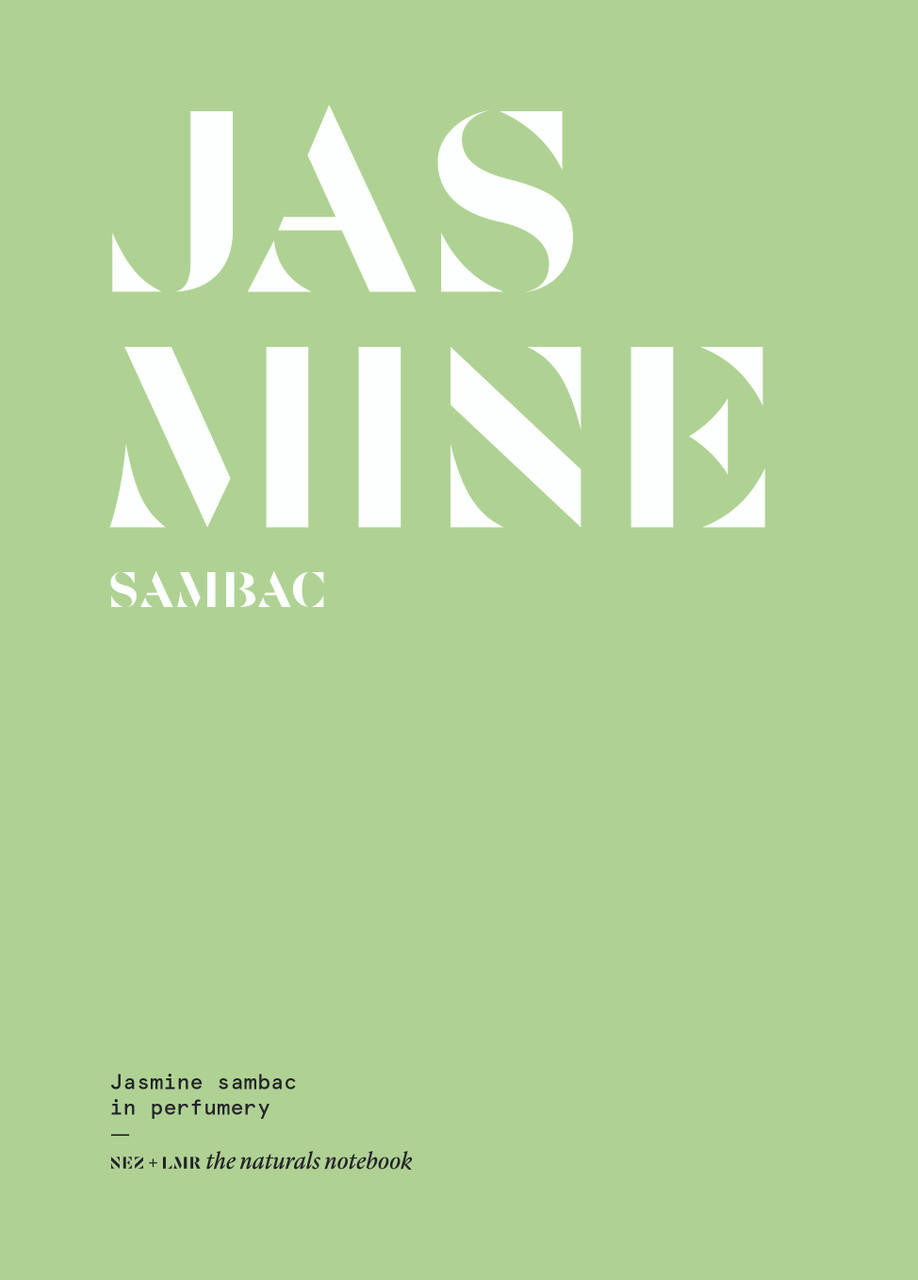 Nez- The Olfactory Magazine NEZ Jasmine Sambac in Perfumery