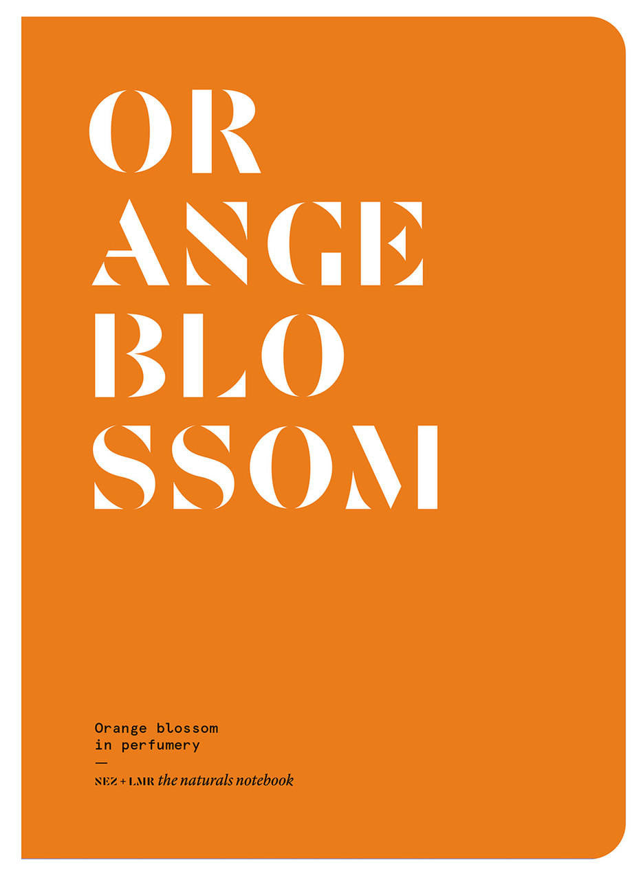 Nez- The Olfactory Magazine NEZ Orange Blossom in Perfumery