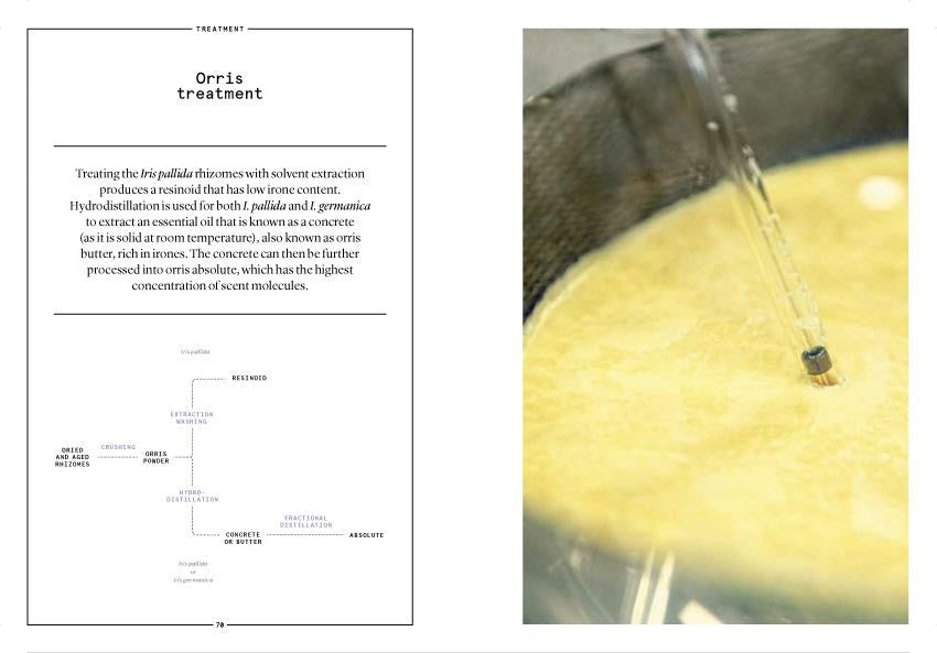 Nez- The Olfactory Magazine NEZ Orris in Perfumery