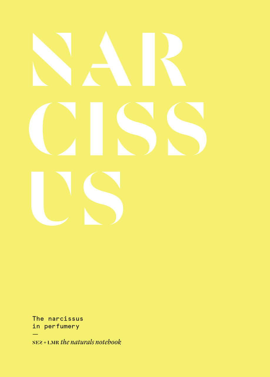Nez- The Olfactory Magazine NEZ The Narcissus in Perfumery