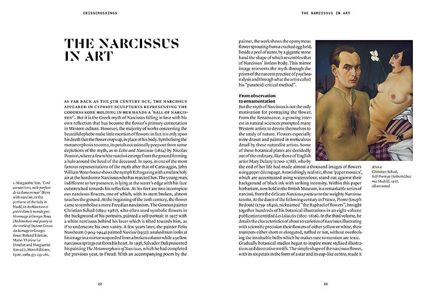 Nez- The Olfactory Magazine NEZ The Narcissus in Perfumery