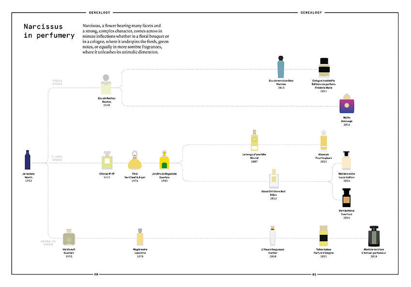 Nez- The Olfactory Magazine NEZ The Narcissus in Perfumery