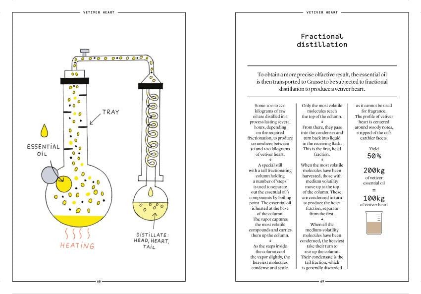 Nez- The Olfactory Magazine NEZ Vetiver in Perfumery