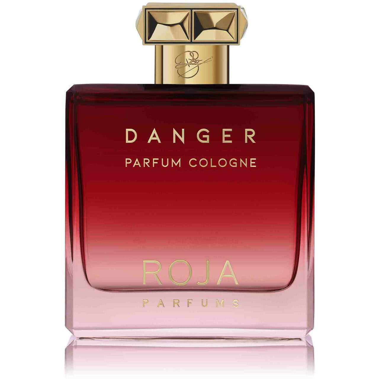 ROJA Roja Pour Homme Danger Parfum Cologne 100ml