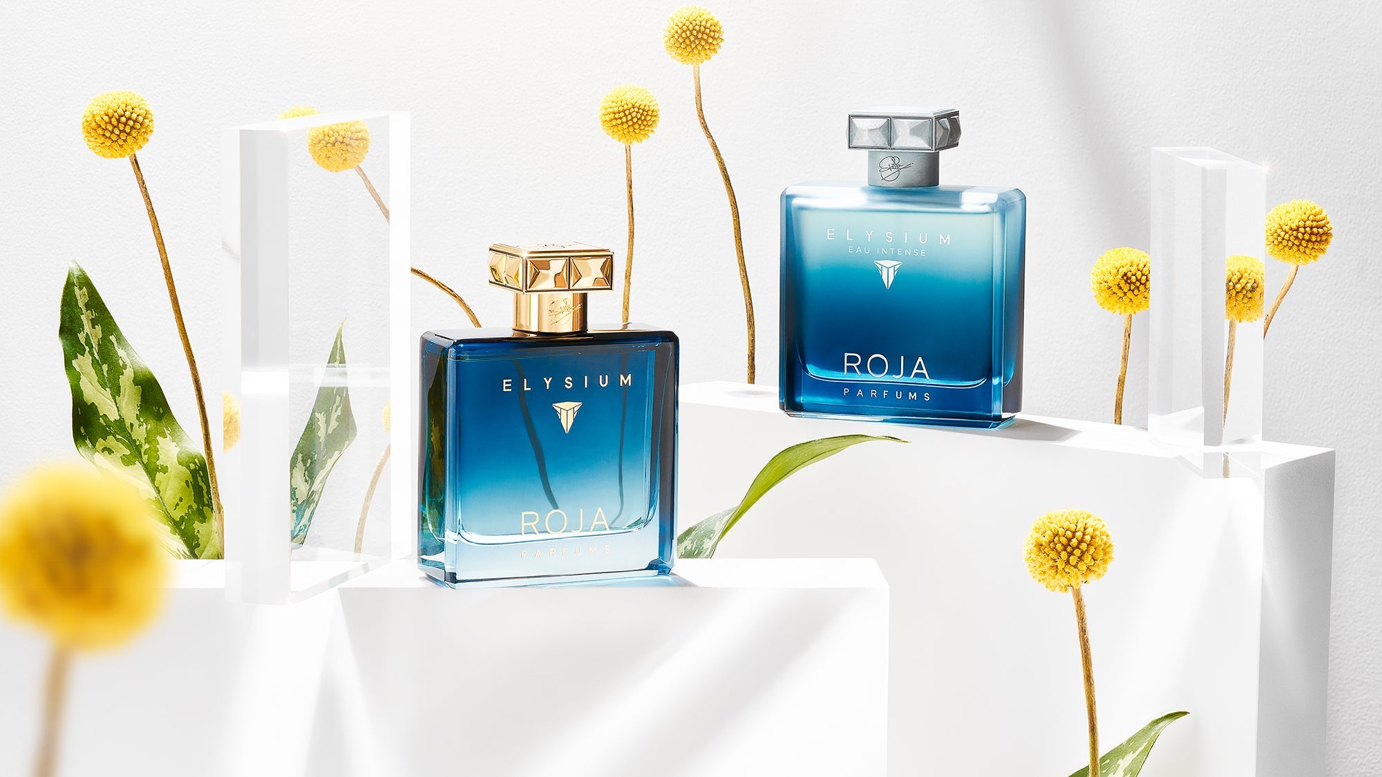 Roja Elysium Eau Intense - Elevating Freshness and Sensuality