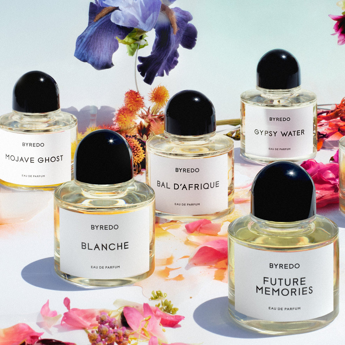 BYREDO
