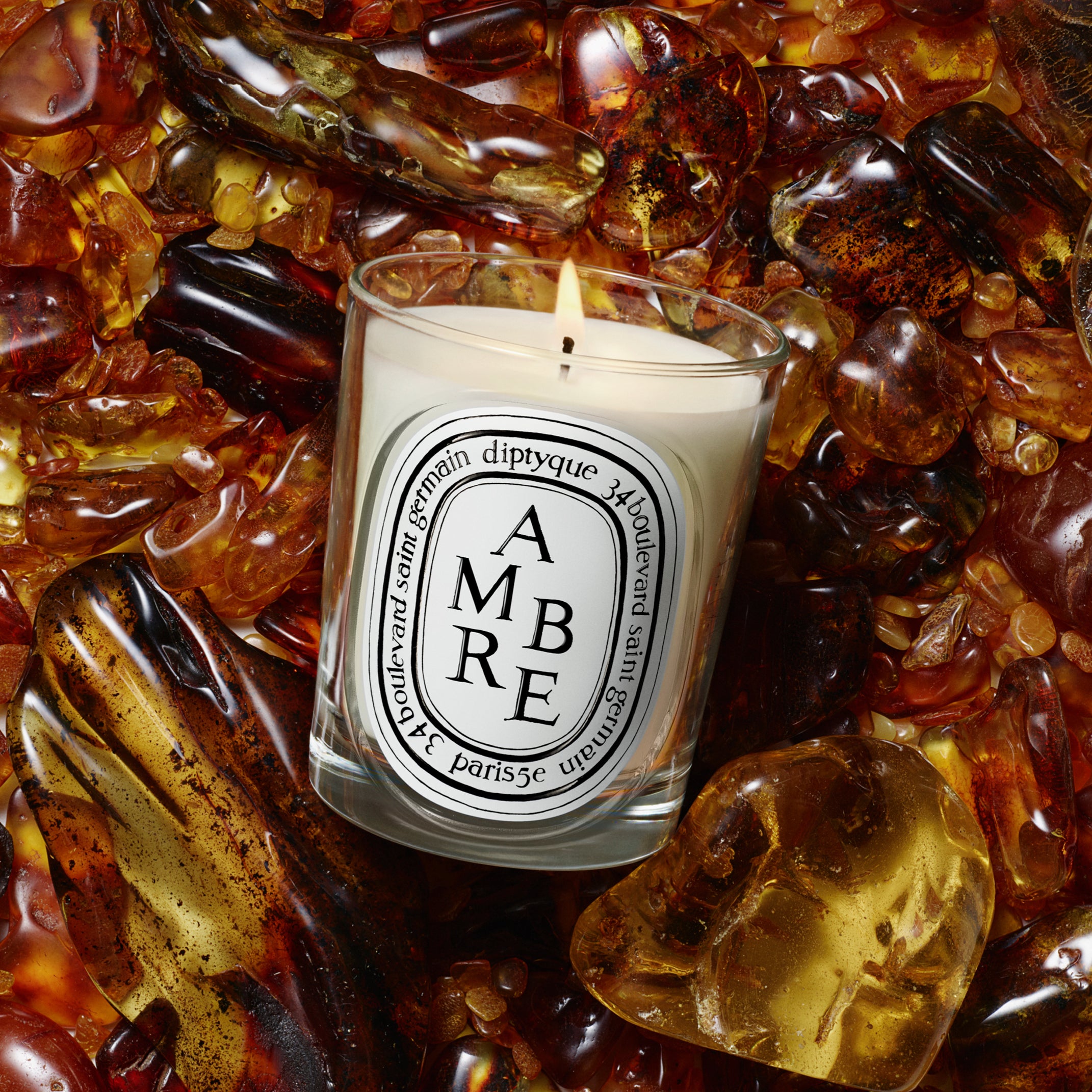 Diptyque Ambre Candle 6.5oz | Vetiver, Patchouli & Tonka Bean