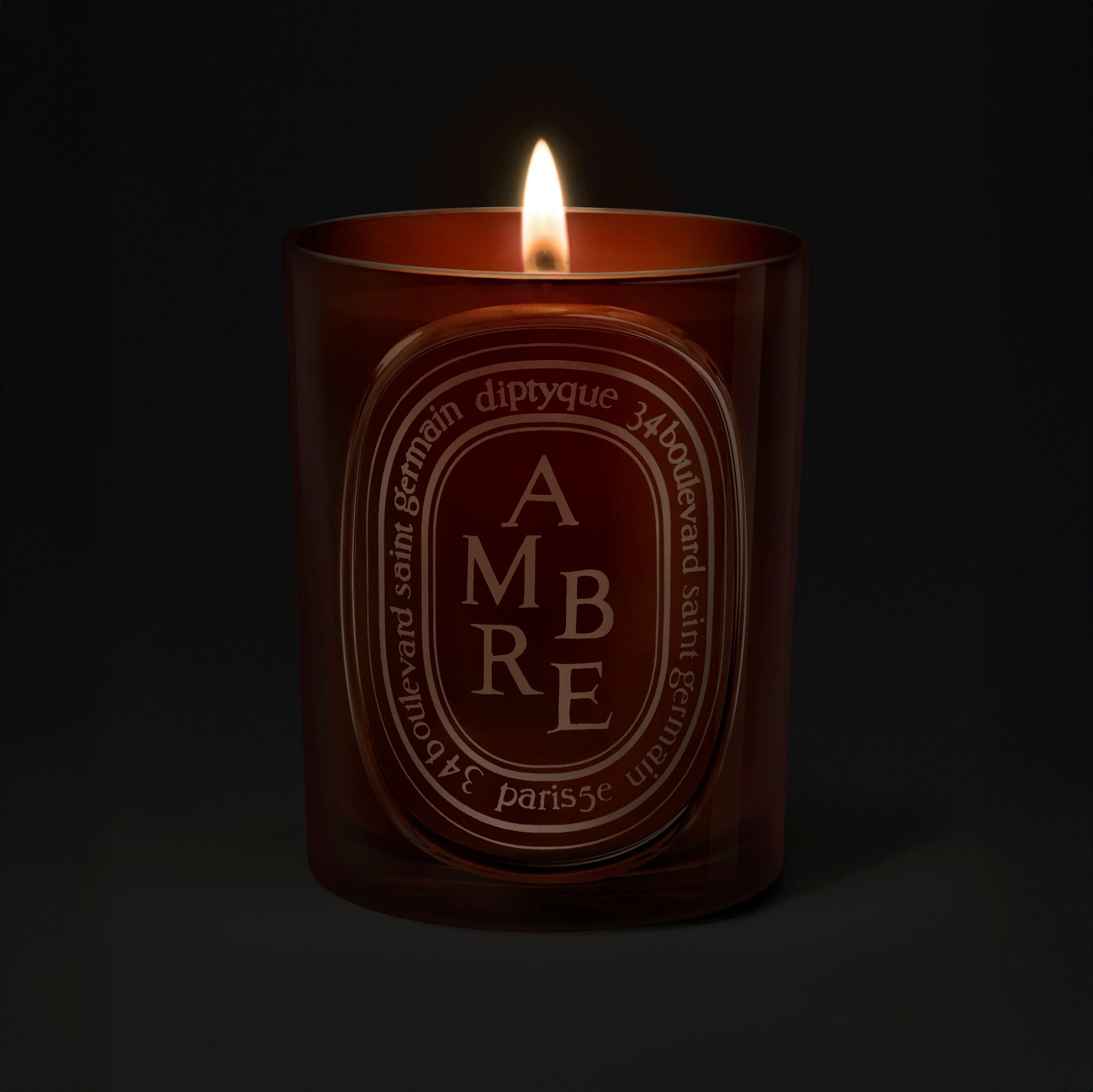 Diptyque Ambre Colored Candle 300g | Vetiver, Incense & Tonka
