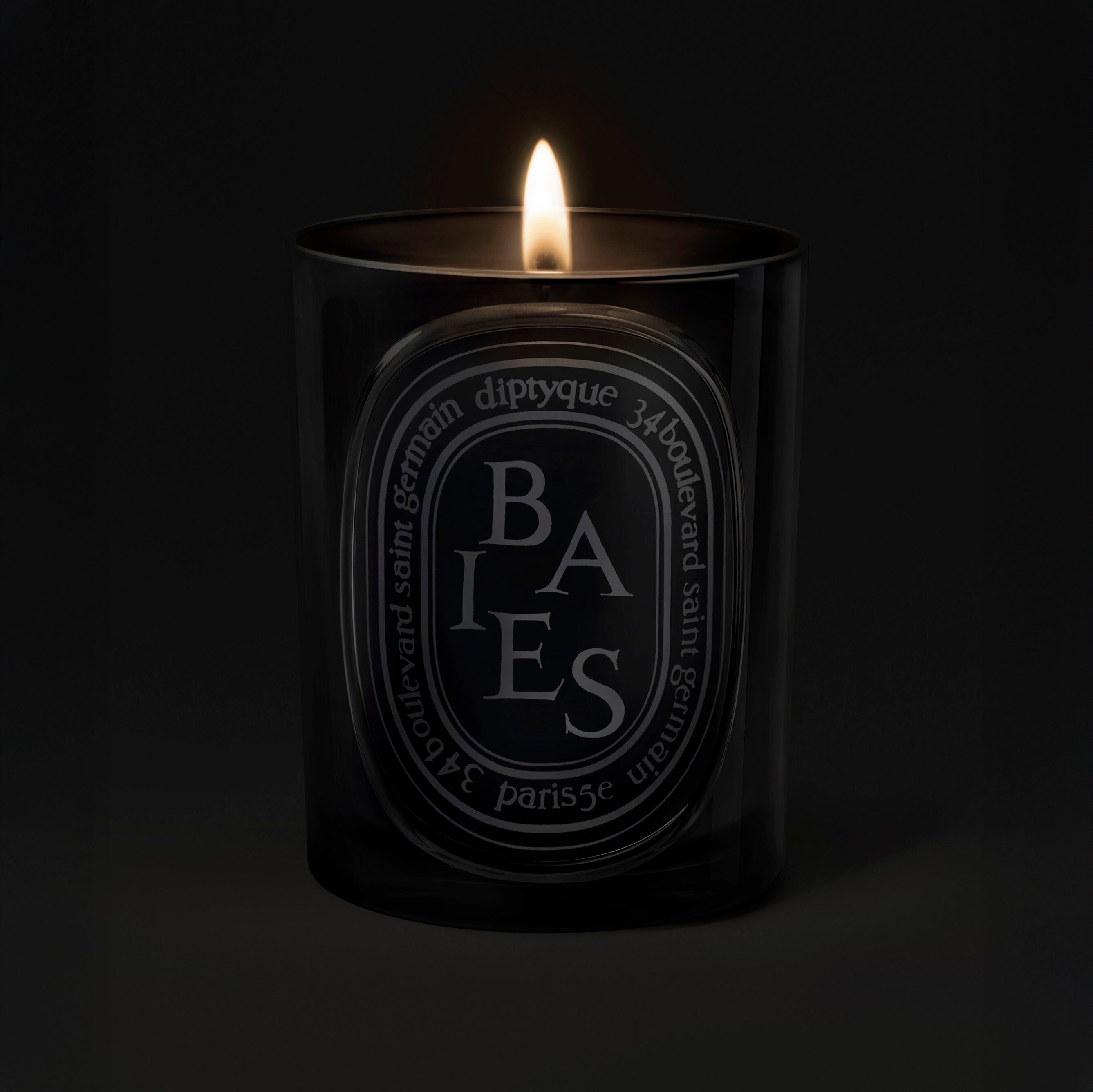 Diptyque Baies Black Candle 300g | Rose & Black Currant Leaves