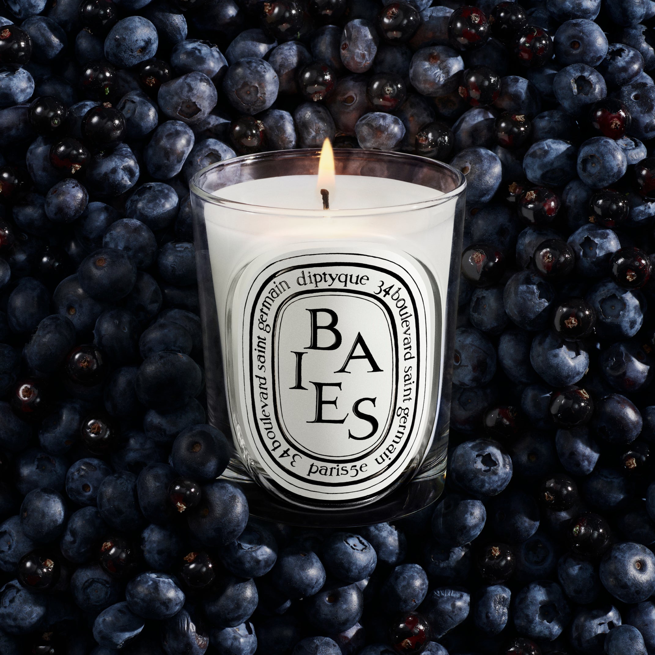 diptyque BAIES 70g ×2個、CAFE 35g×1個　セット Diptyque Baies Candle 6.5oz | Rose & Black Currant Leaves – ZGO