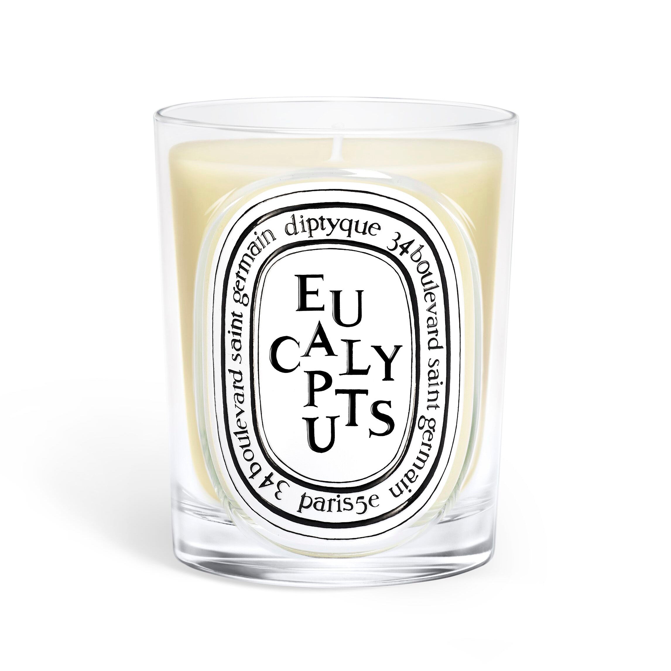 Diptyque Eucalyptus Candle 6.5oz | Eucalyptus & Warm Woods – ZGO