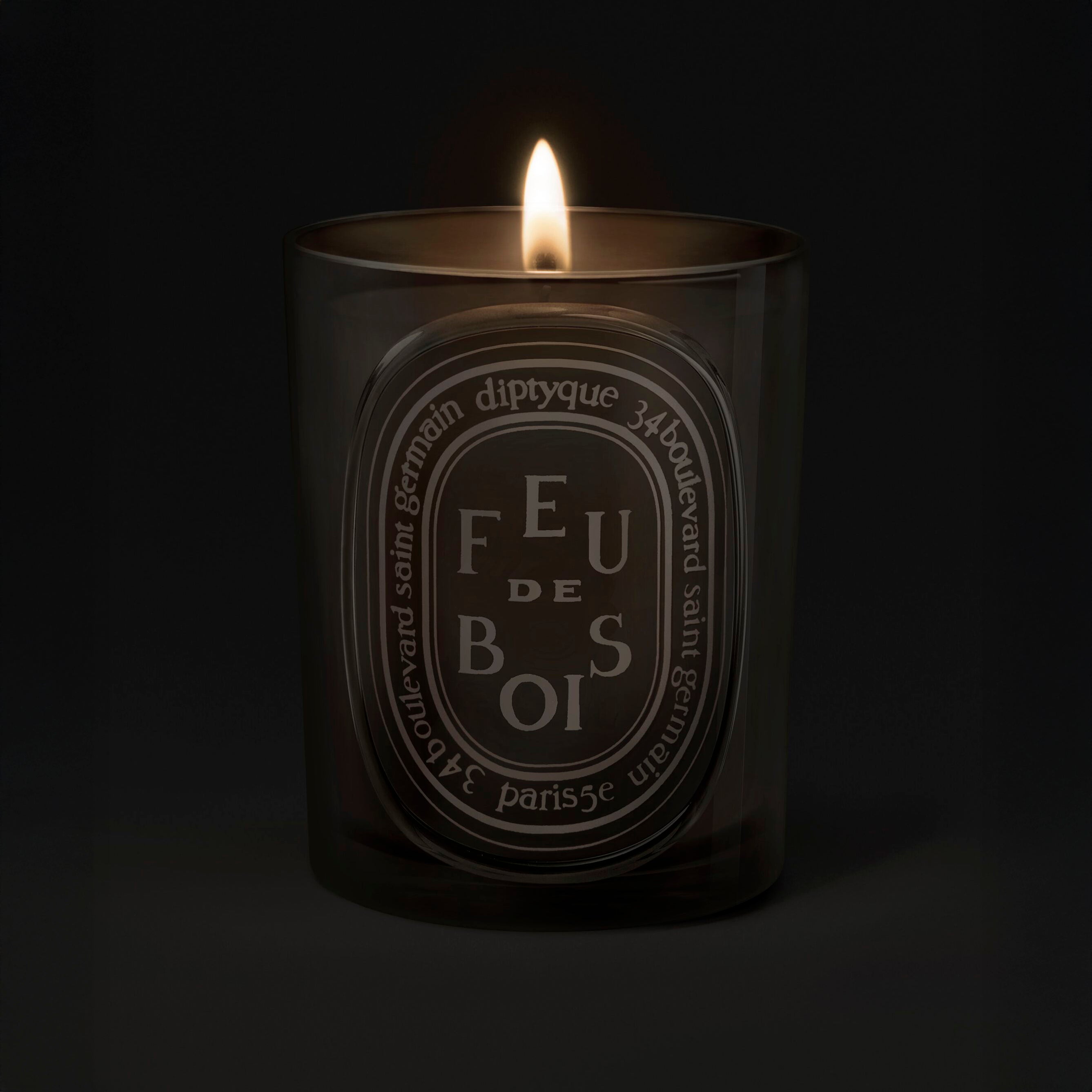 Diptyque Feu de Bois Grey Candle 300g | Firewood & Rare Woods