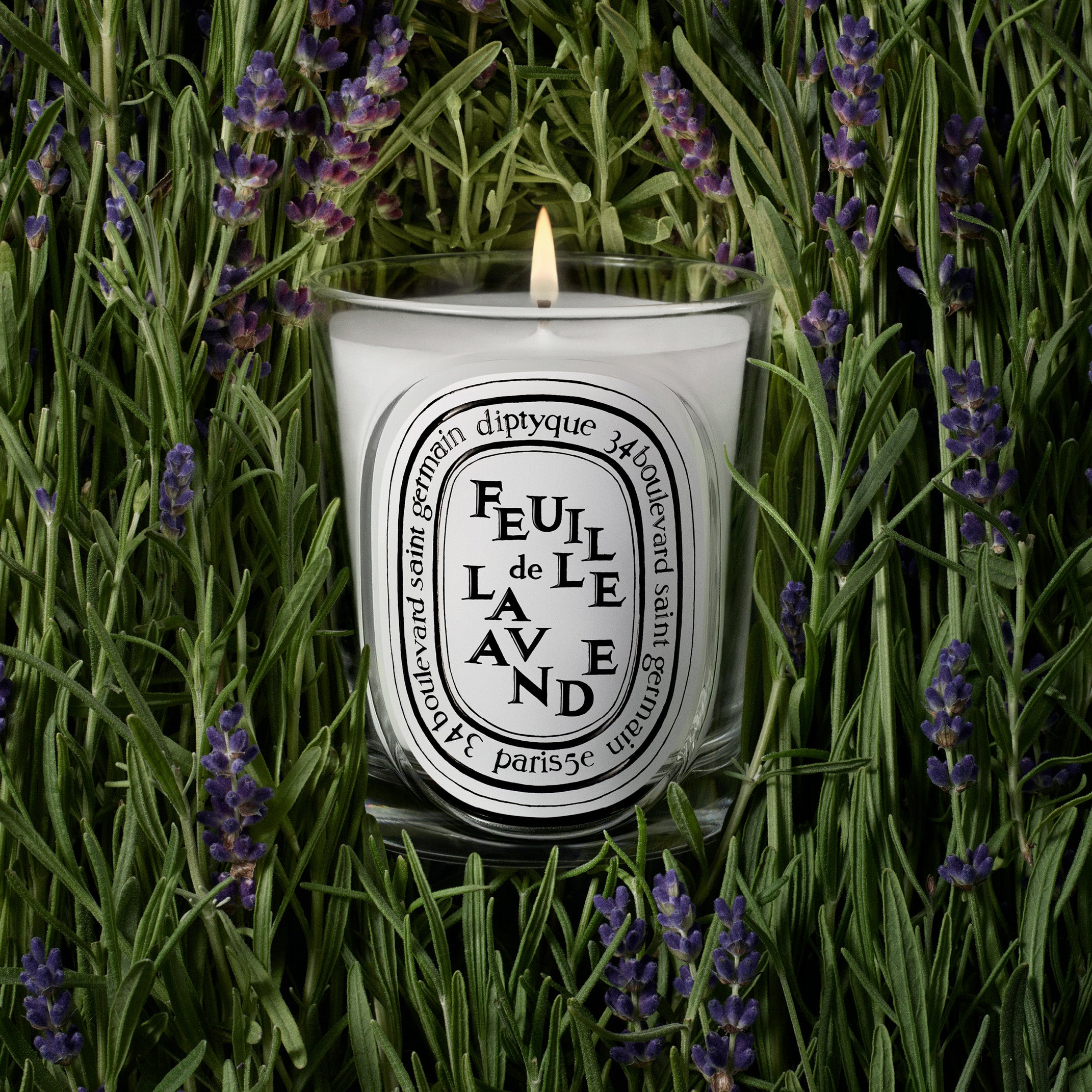 Diptyque Feuille de Lavande Candle 6.5oz | Lavender & Green Leaves