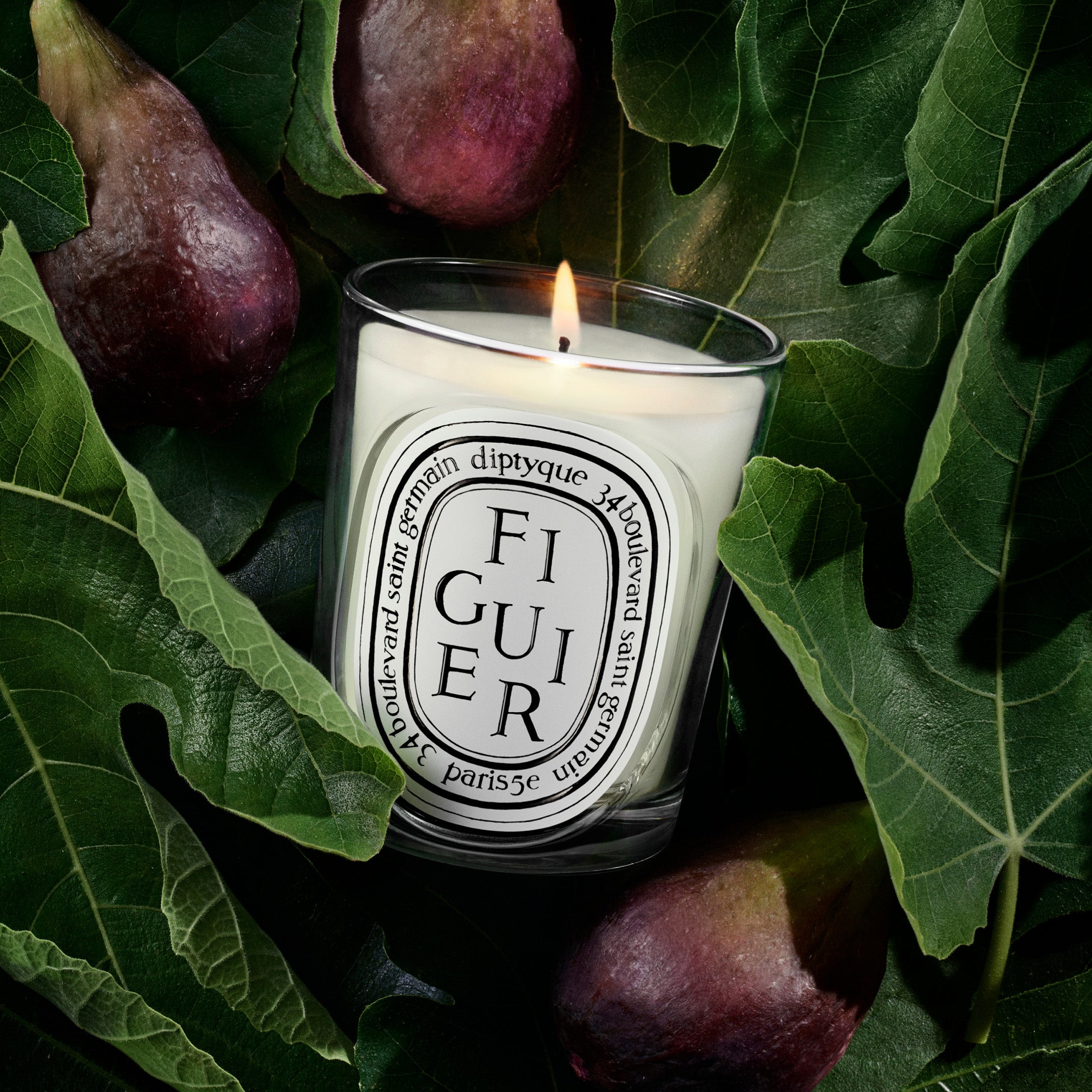 Diptyque Figuier Candle 6.5oz | Fig Wood, Leaves & Sap – ZGO Perfumery