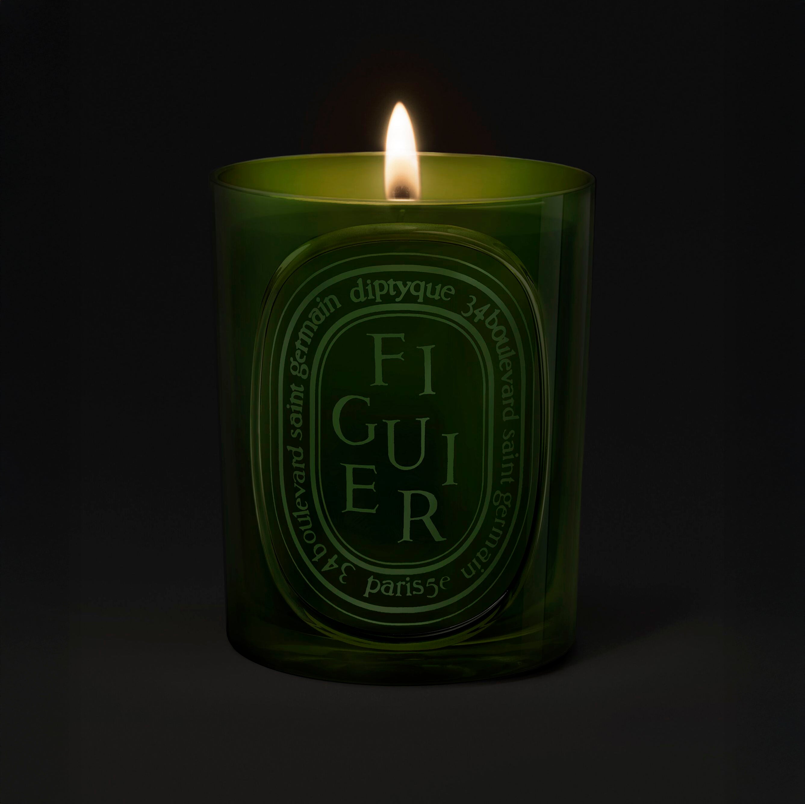 Diptyque Figuier Green Candle 300g | Fig Wood, Leaves & Sap – ZGO
