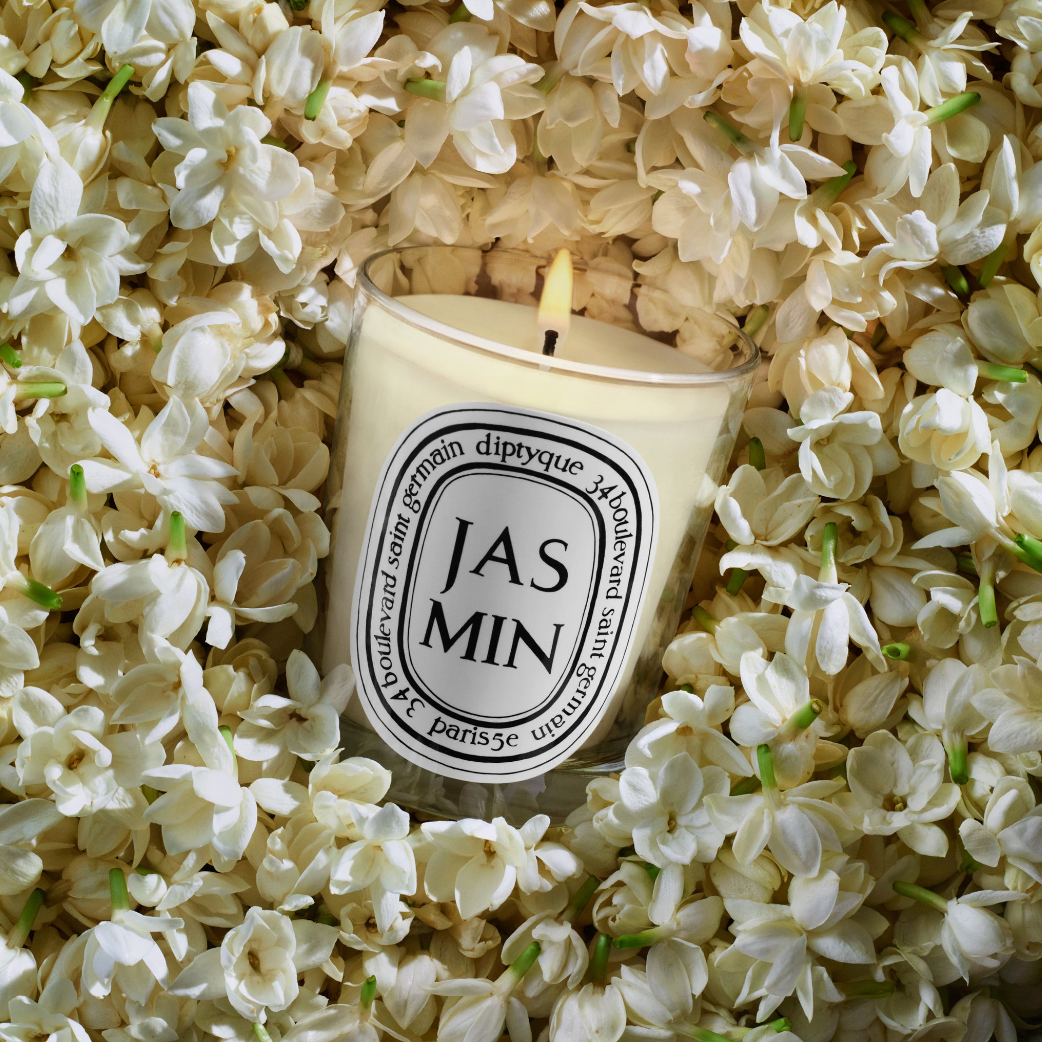 Diptyque Jasmin Candle 6.5oz | Jasmine & White Flowers – ZGO Perfumery