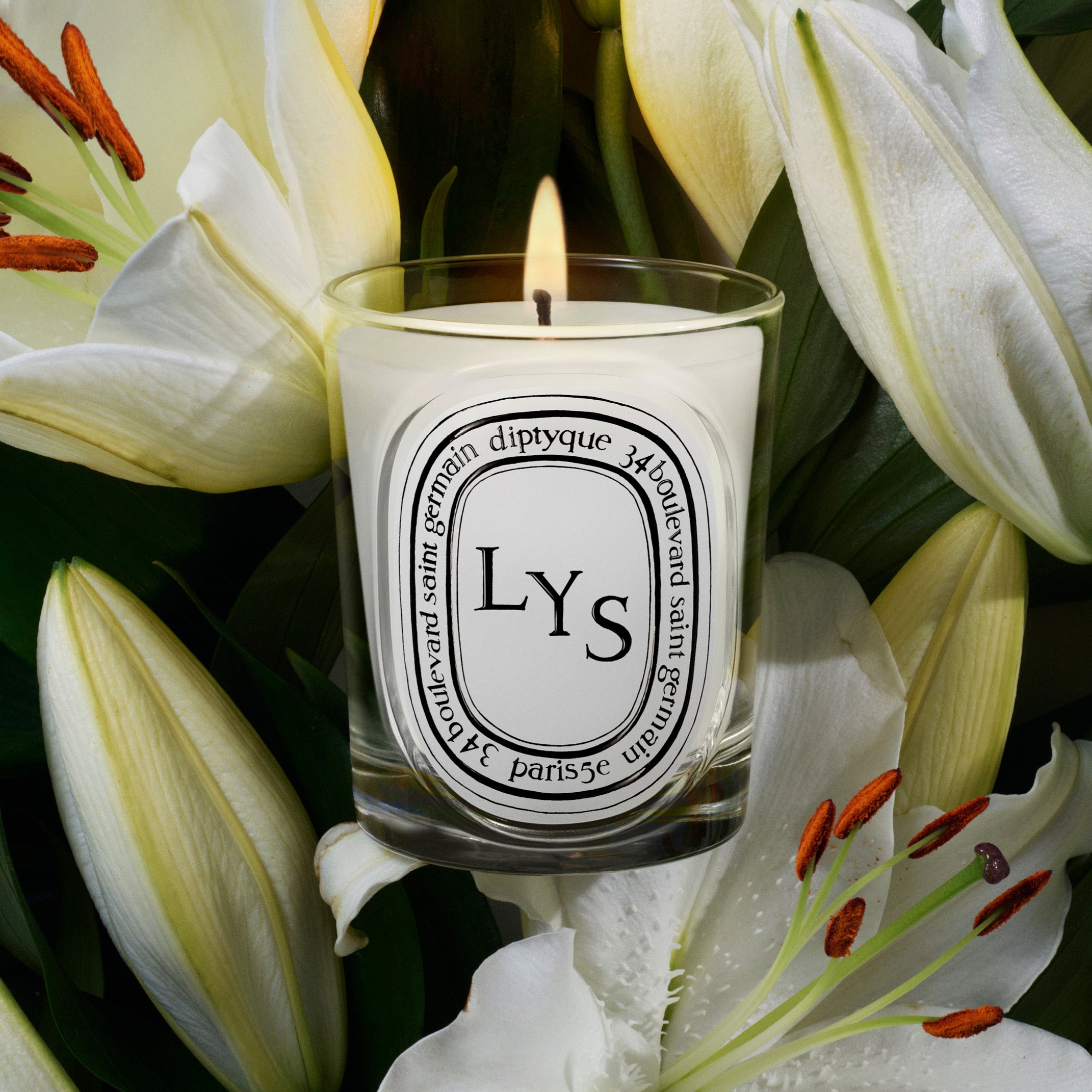 Diptyque LYS Candle 6.5oz | Lily, Green Leaves & Spice – ZGO Perfumery