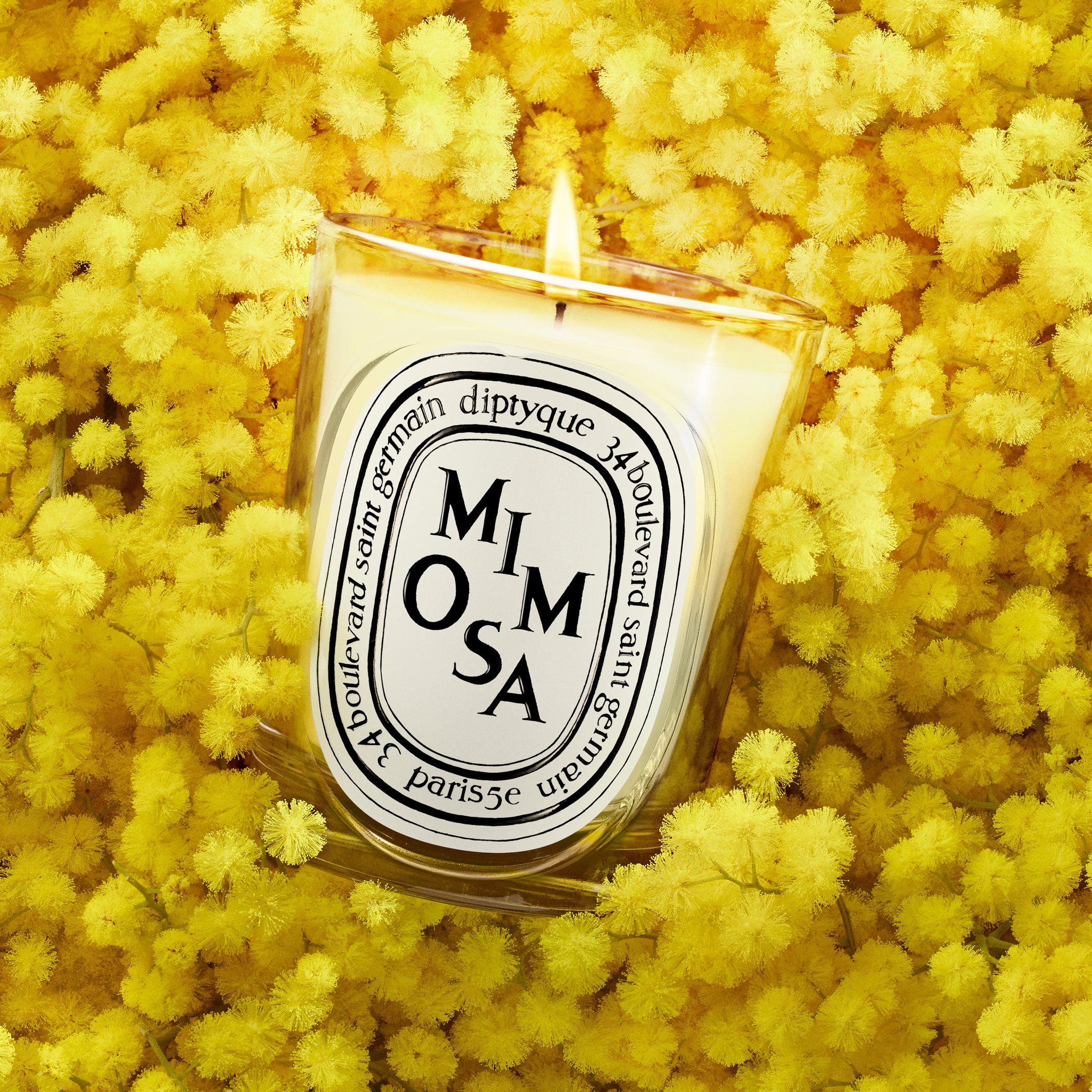 未使用　Diptyque MIMOSA（ミモザ） Diptyque Mimosa Candle 6.5oz | Mimosa, Hay & Honey – ZGO Perfumery