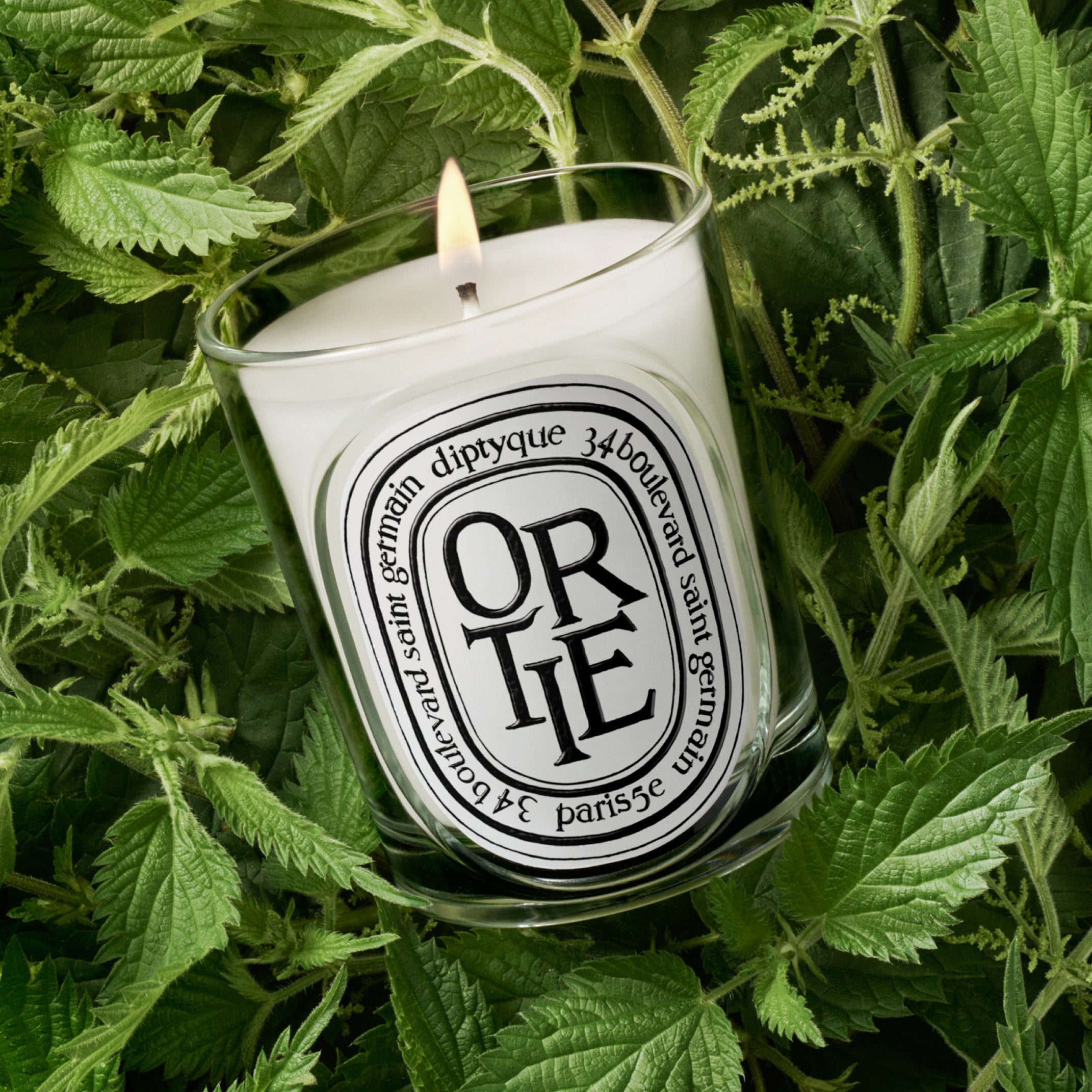 Diptyque Ortie Candle 6.5oz | Citrus, Pink Pepper & Woods – ZGO