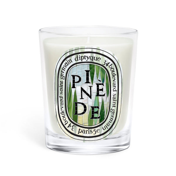 Diptyque Pinede Candle 6.5oz | Pine, Citrus & Woods – ZGO Perfumery