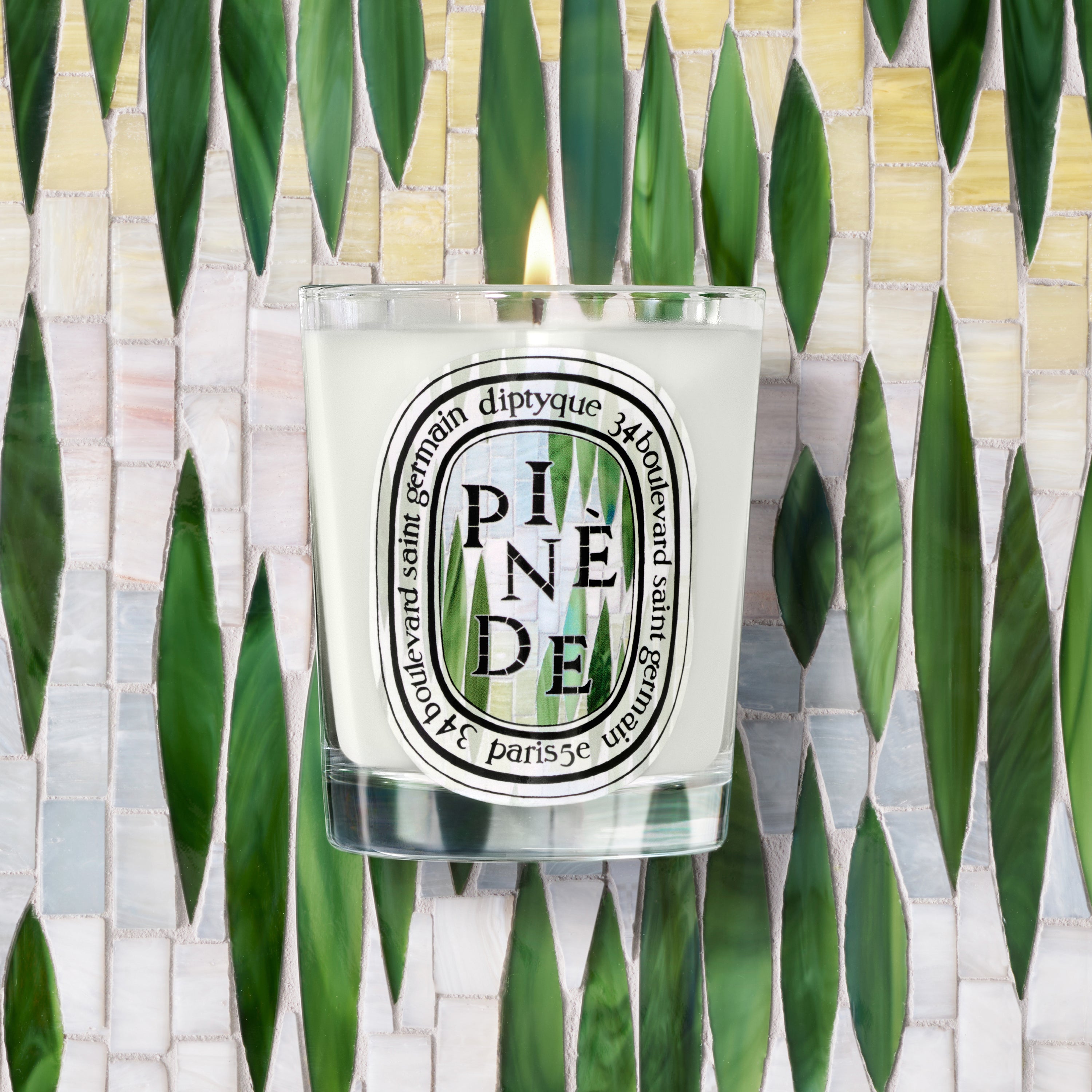 Diptyque Pinede Candle 6.5oz | Pine, Citrus & Woods – ZGO Perfumery