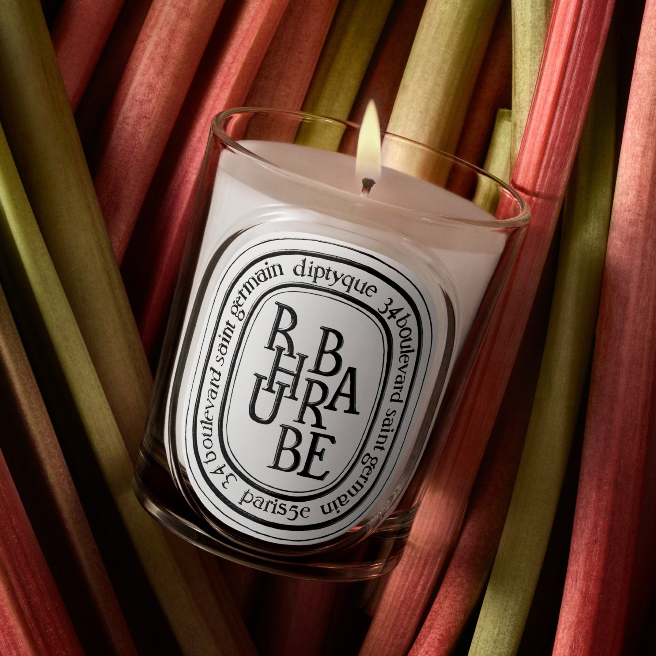 Diptyque Rhubarbe Candle 6.5oz | Lemon, Green Apple & Celery – ZGO