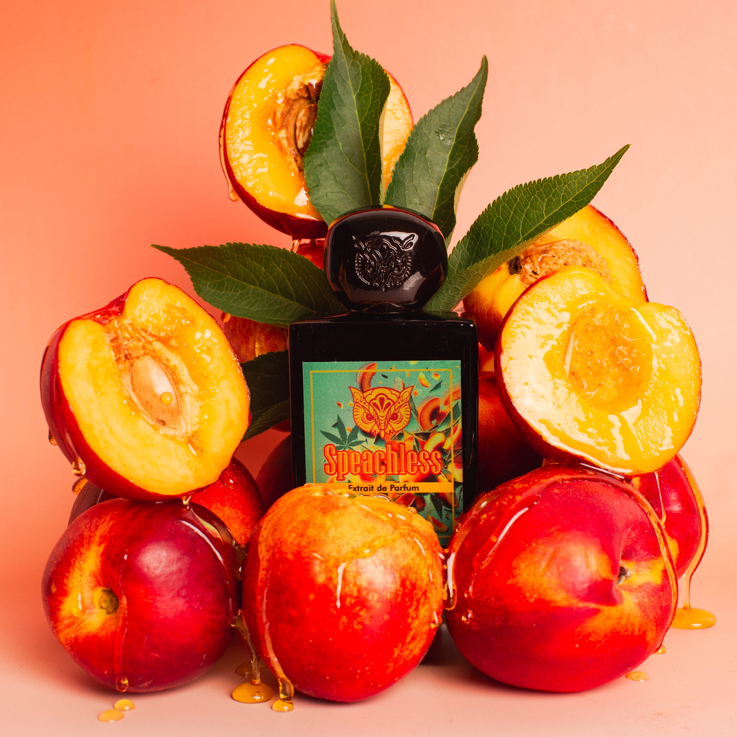 ヴァイスシュヴァルツ ビーチ・エクリプス SP Lorenzo Pazzaglia Speachless Extrait de Parfum - Bold Citrus