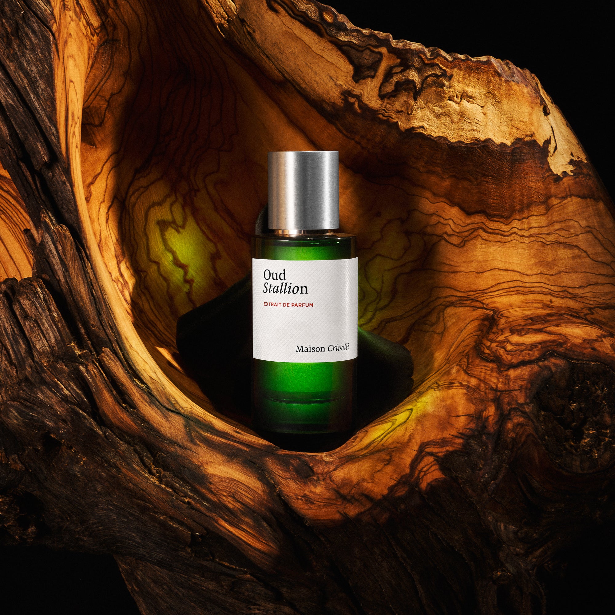 Maison Crivelli Oud Stallion Extrait de Parfum | ZGO Perfumery