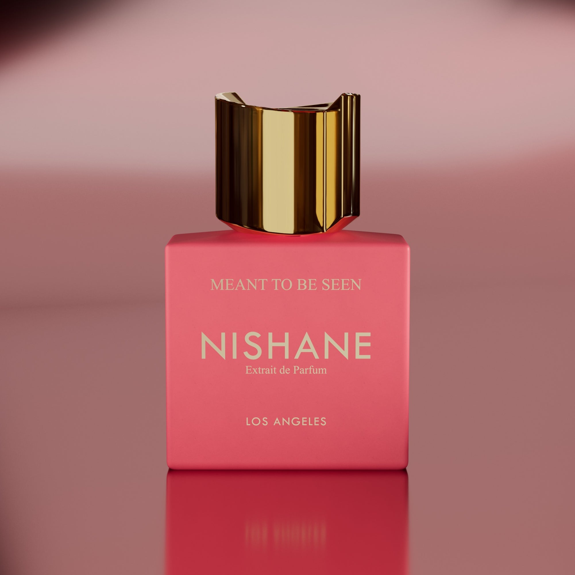 Nishane Meant to Be Seen Extrait de Parfum | Violet, Orris