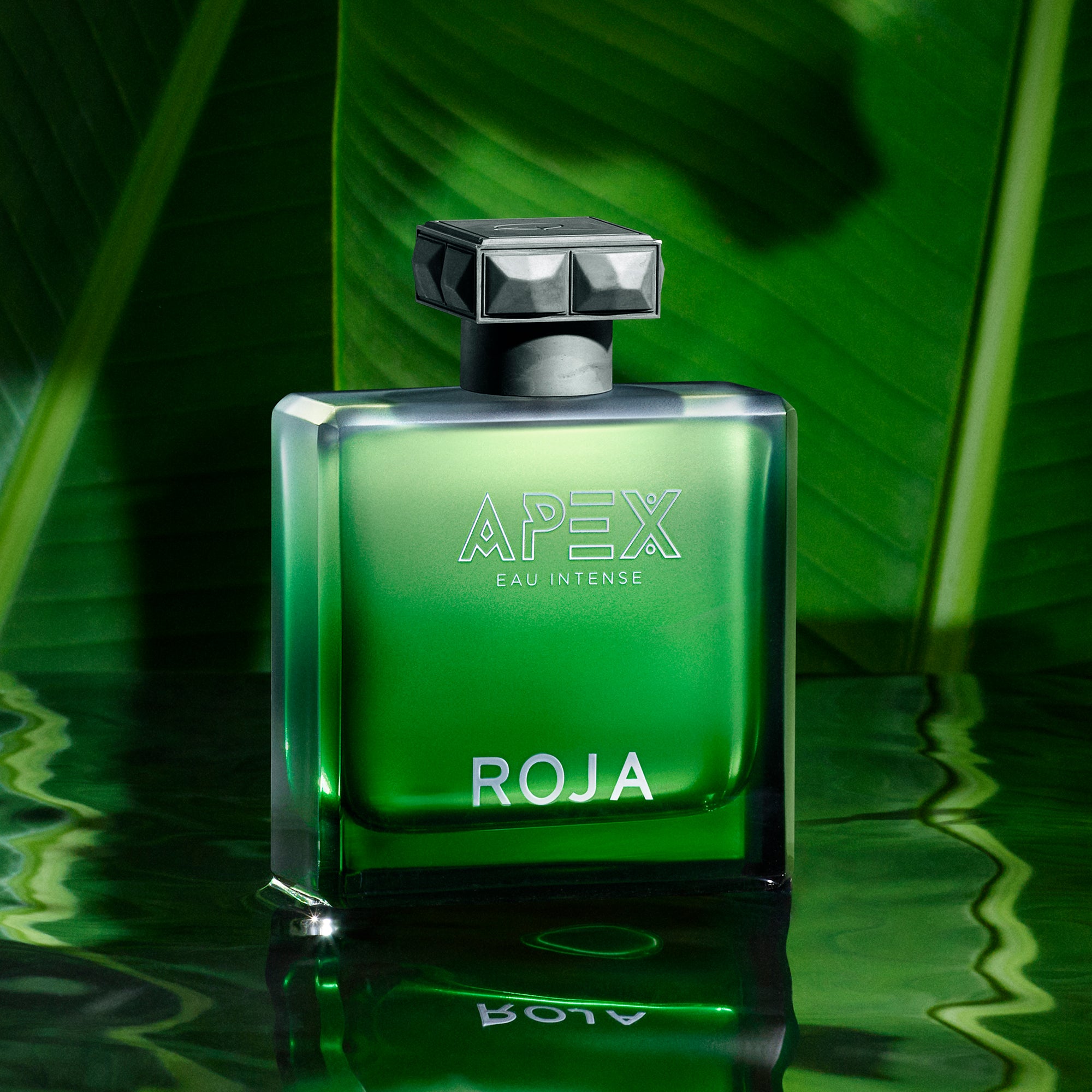 Roja Parfums Apex Eau Intense | Citrus, Driftwood & Verdant Chypré