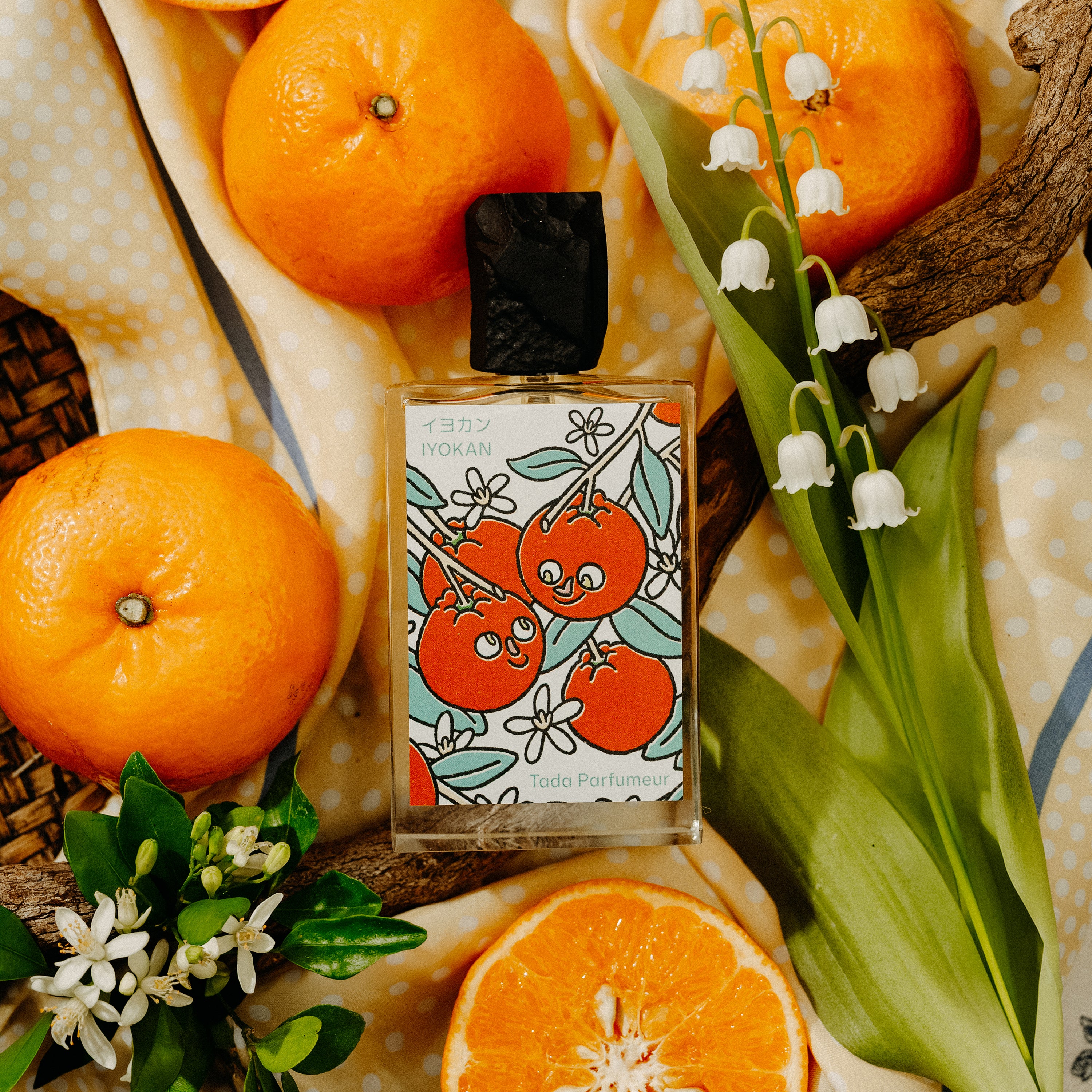 Tada Parfumeur Iyokan Eau de Parfum | Iyokan, Yuzu & Cedarwood