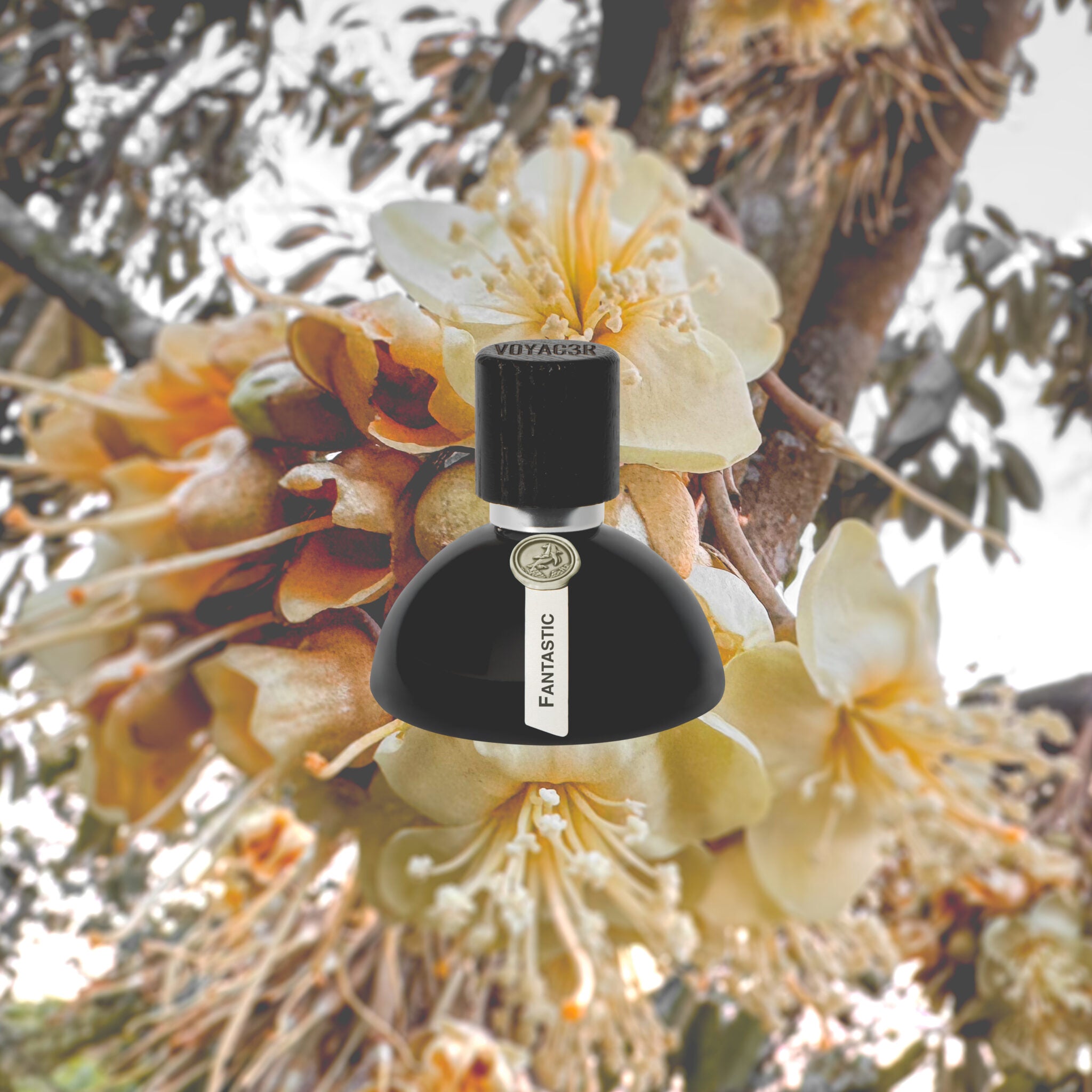 New Arrivals | ZGO Perfumery