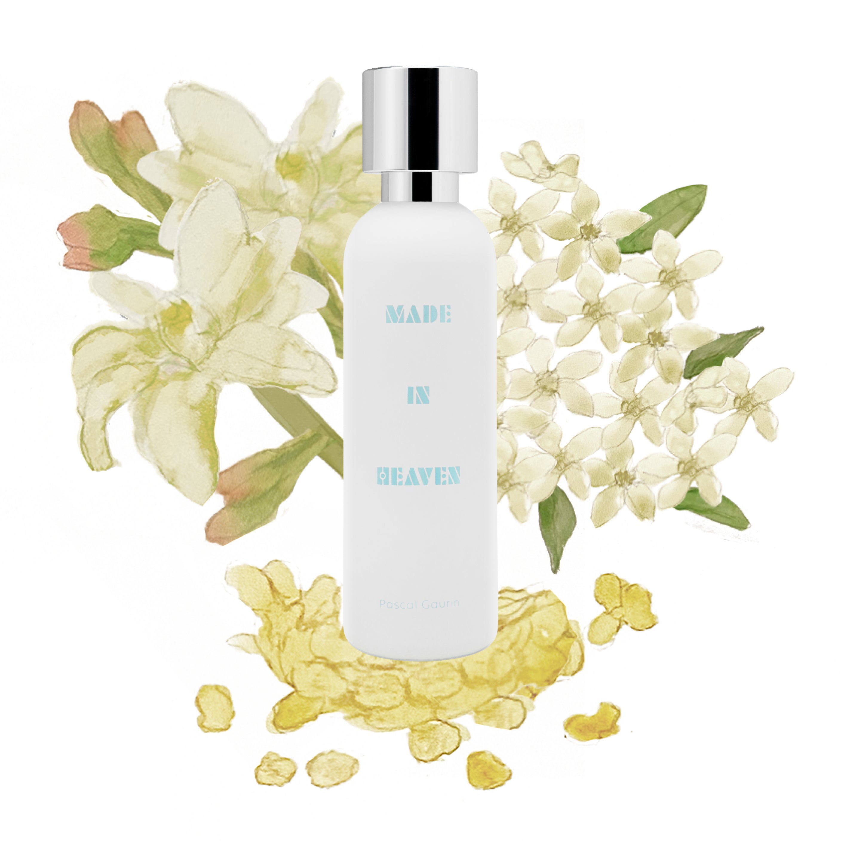 What We Do Is Secret® (WWDIS) – ZGO Perfumery