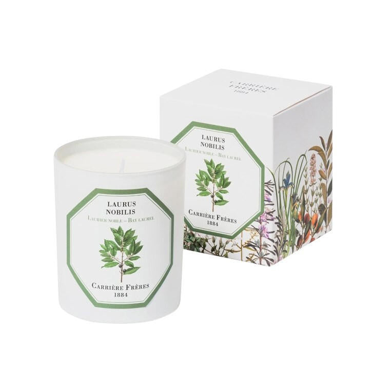  Carriere Freres BAY LAUREL Candle 6.5oz 