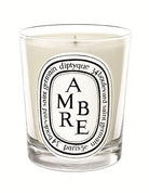  Diptyque Ambre (Amber) Mini Candle 2.4oz 