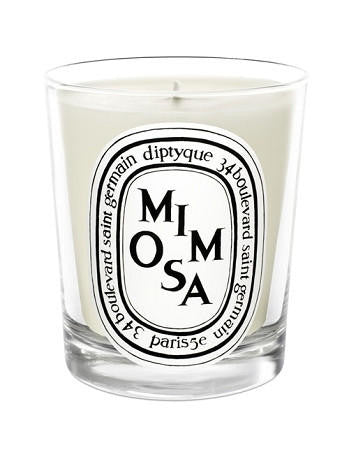 Diptyque - Mimosa Candle 6.5oz | ZGO Perfumery