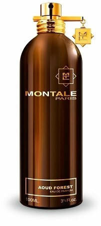 Montale Paris Montale AOUD FOREST Eau de Parfum 