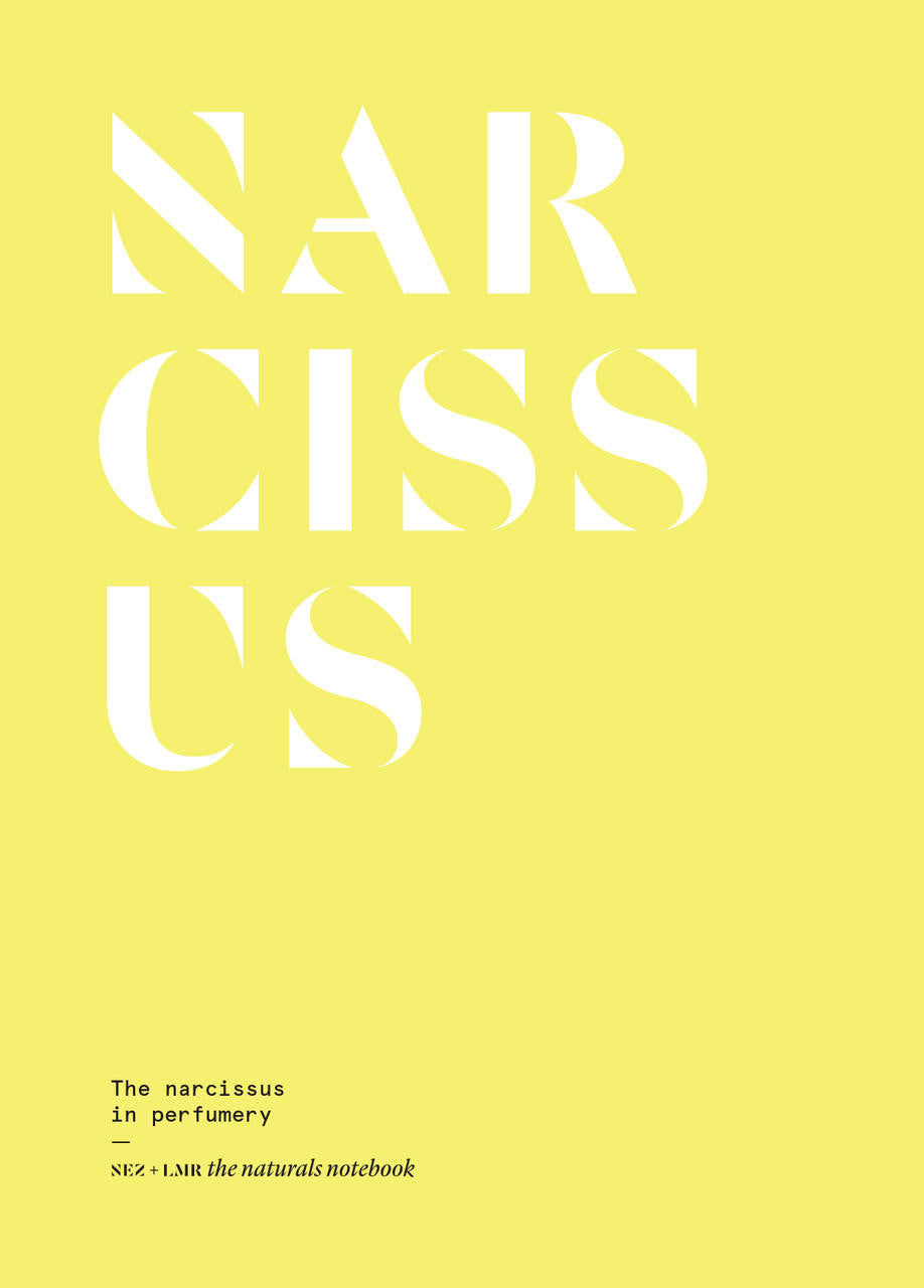 Nez- The Olfactory Magazine NEZ The Narcissus in Perfumery 