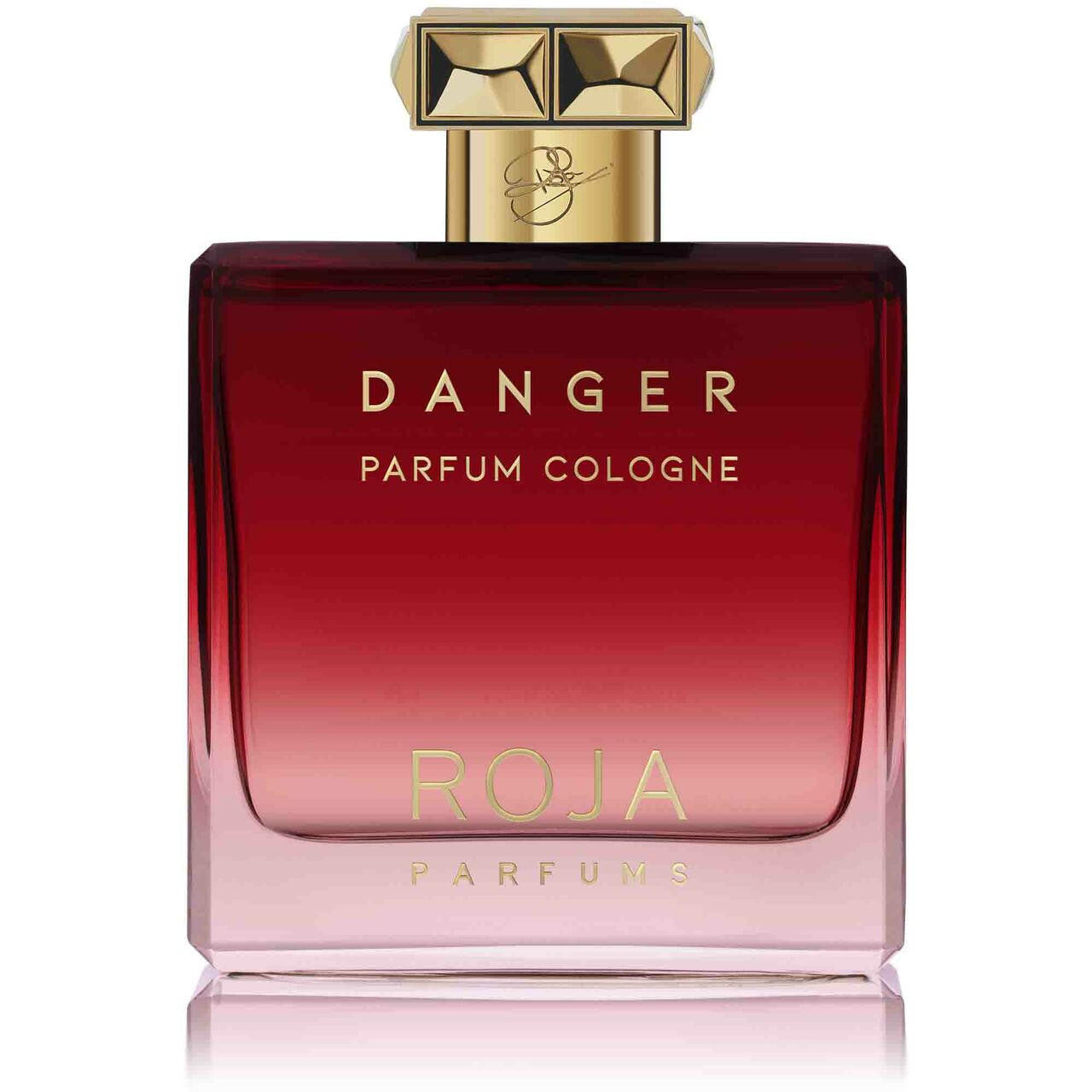 ROJA Roja Pour Homme Danger Parfum Cologne 100ml 