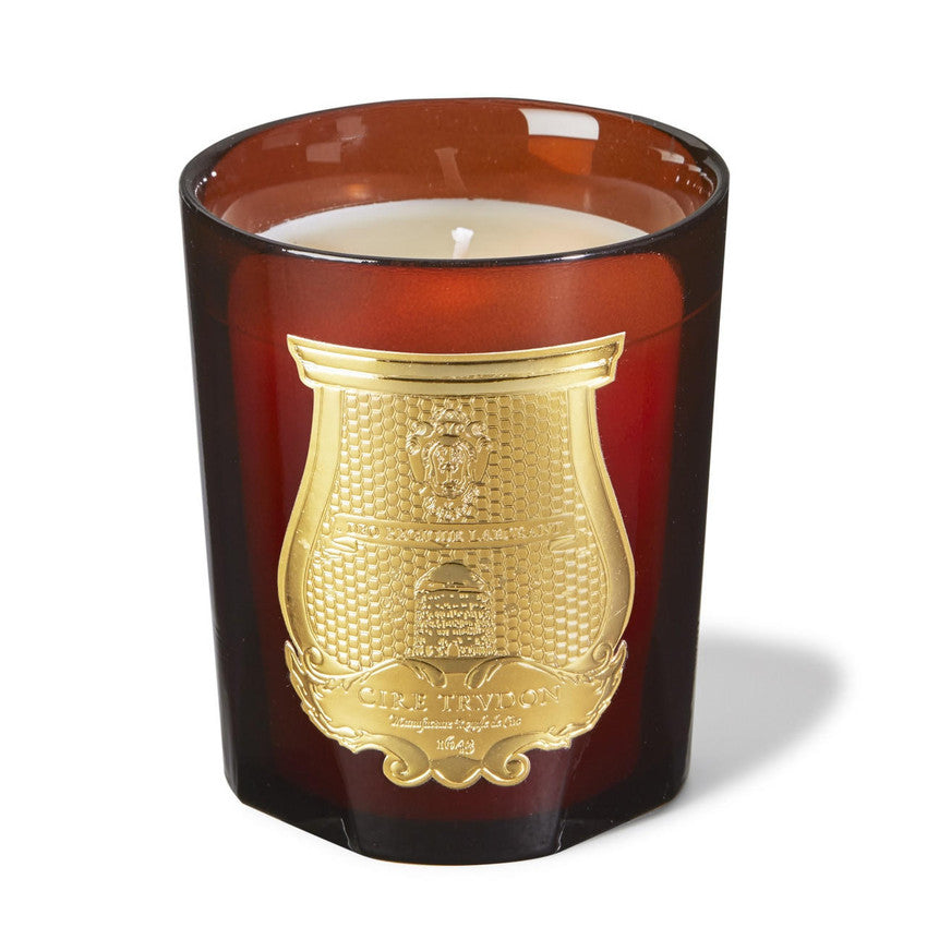 trudon-cire-candle__23576.