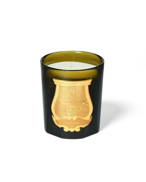 trudon-spiritus-sancti-